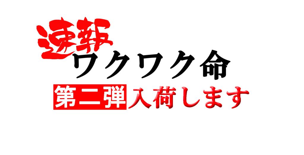 ワクワク命第二弾