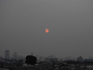 strawberrymoon2