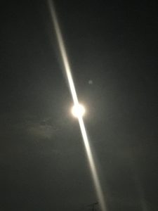 IMG_4947
