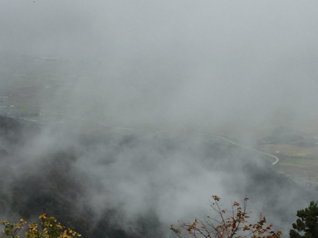 IMG_5391