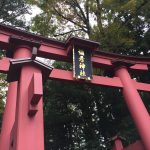 弥彦神社に行ってきました♪