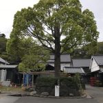 坂東三十三箇所巡りのススメ:千葉編前半