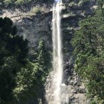 西国三十三箇所巡礼の旅：熊野三山と青岸渡寺